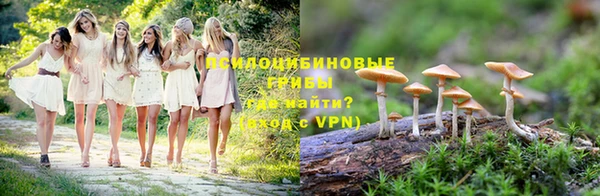 ALPHA PVP Арсеньев